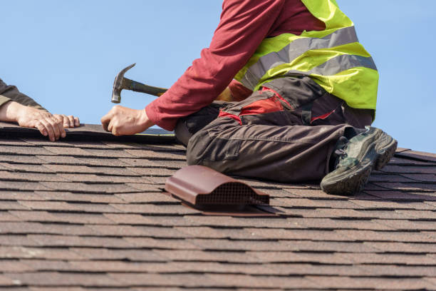 Best Flat Roof Repair Services  in Maury, NC
