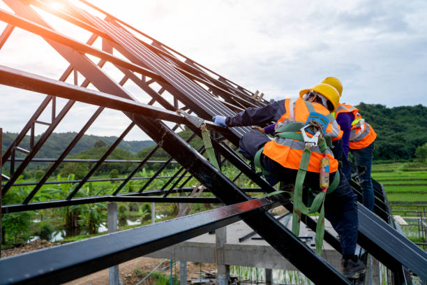 Best Roof Maintenance Services  in Maury, NC