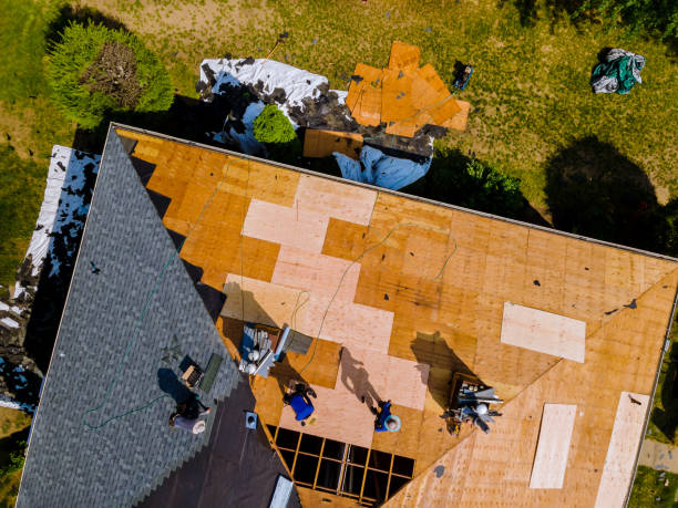 Best Metal Roofing Contractor  in Maury, NC