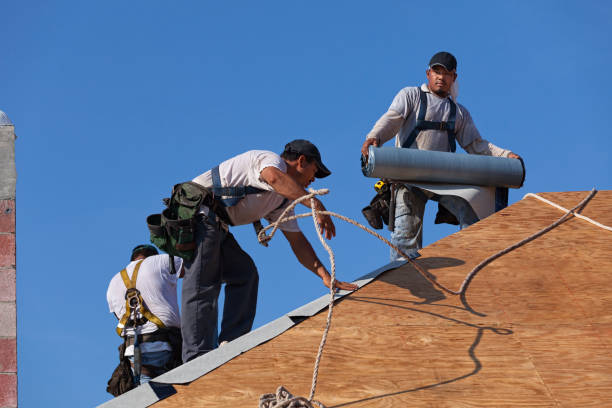 Best Residential Roofing Contractor  in Maury, NC