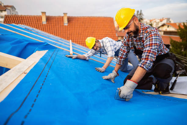 Best Roof Gutter Cleaning  in Maury, NC