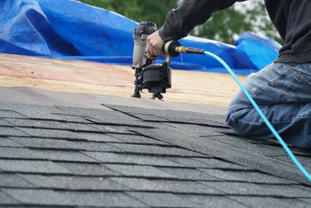 Best Local Roofing Companies  in Maury, NC