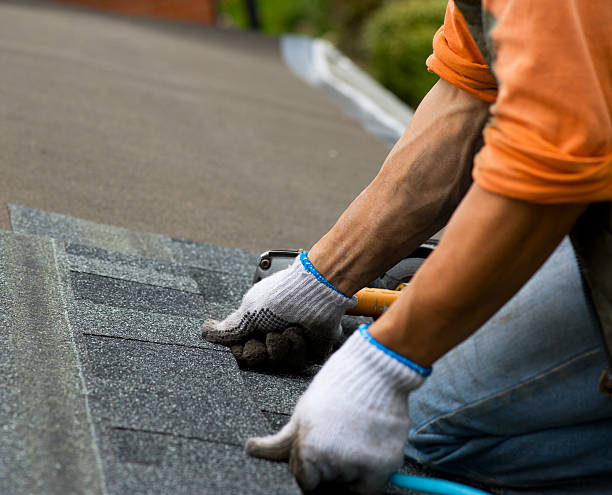 Best New Roof Installation  in Maury, NC