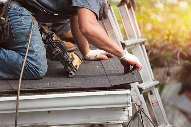 Best Roof Gutter Cleaning  in Maury, NC