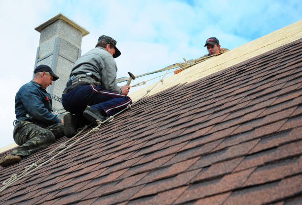Roof Repair Estimates in Maury, NC