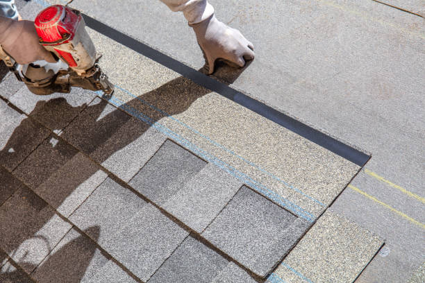 Quick and Trustworthy Emergency Roof Repair Services in Maury, NC